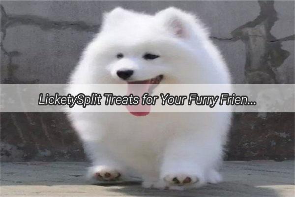 LicketySplit Treats for Your Furry Friend Discover the Joy of Doggy Lick Lick Sweets